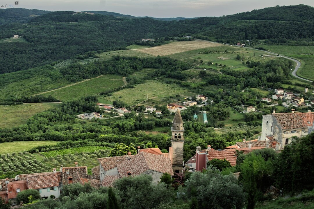 Hilltop town of Motovun surrounded by Istrian countryside mist