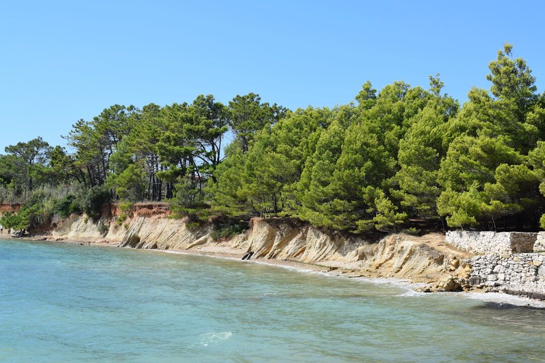Karst cliffs and pine forest along the Adriatic coast