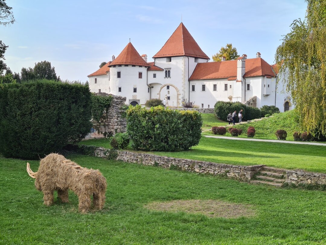 Baroque buildings and castle in Varazdin old town